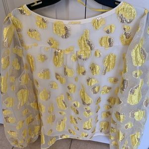 Maeve (by Anthropologie) fancy top size 12